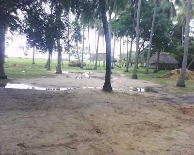 DSC-0011