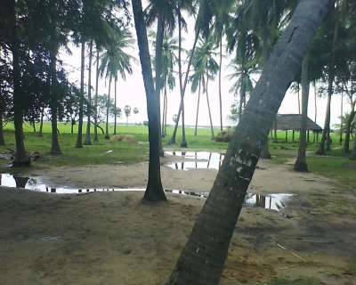 DSC-0012