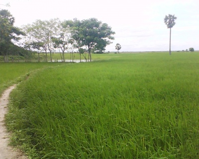 DSC-0017