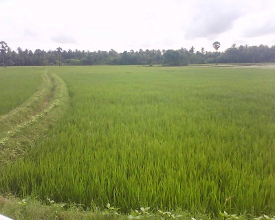 DSC-0021